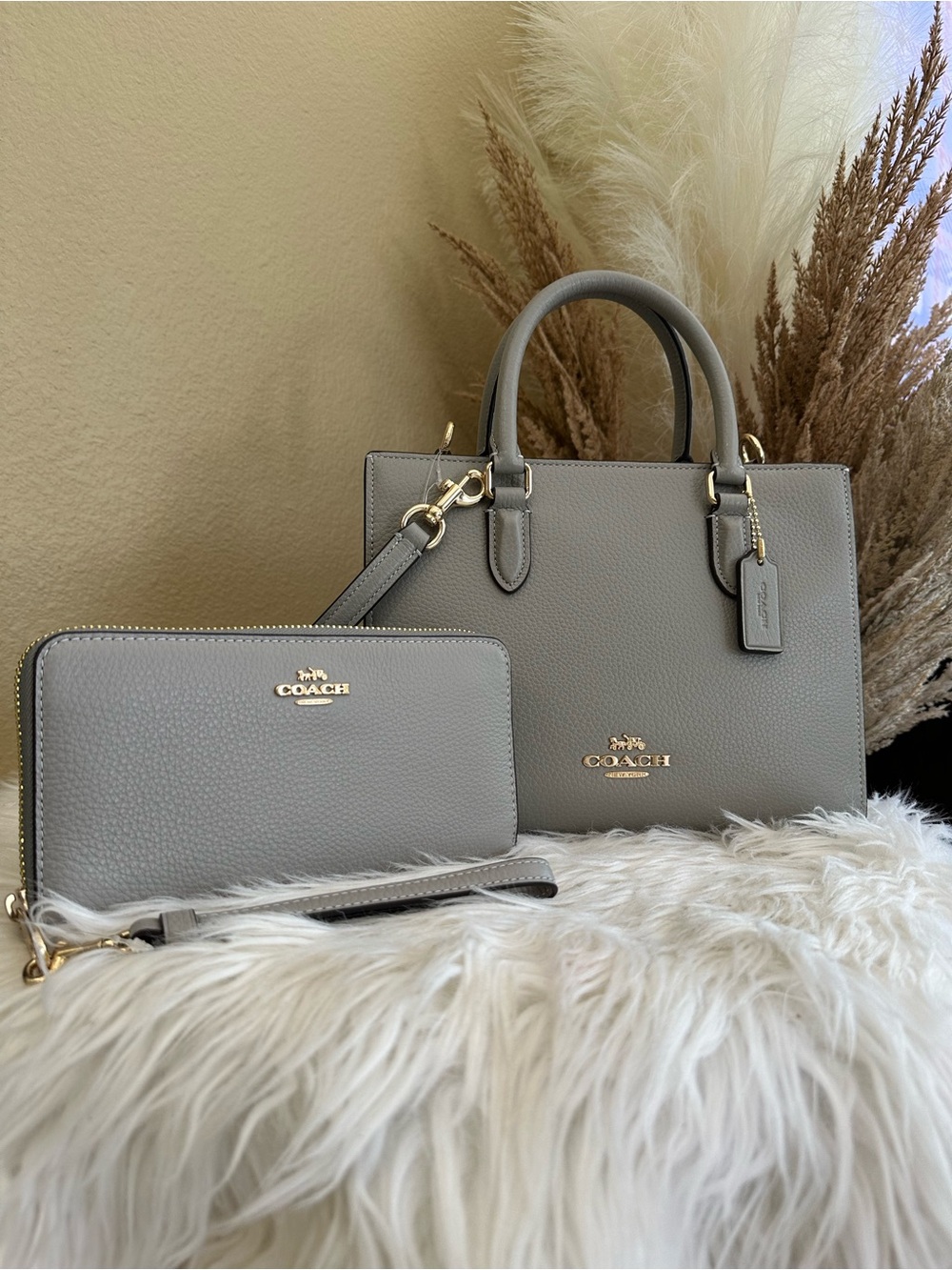 Coach Maggie Small Tote Bag and wallet set - Picture 3 of 16